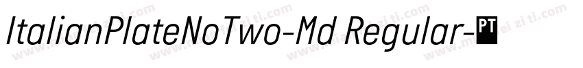 ItalianPlateNoTwo-Md Regular字体转换